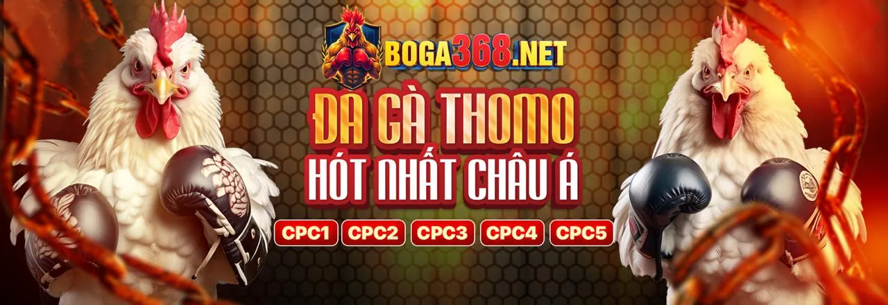 Đá gà trực tuyến iwin68 chính thức